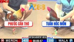 Trận 21 CPC1 12/4/2025 - Xám Mặt Râu Anh Phước Đá Bến Thế Quá Hay