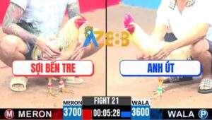 Trận 21 CPC3 11/4/2025 - Chuối Chân Xanh Anh Sợi Có Chân Chiếu Bí