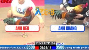 Trận 24 CPC1 3/4/2025 - Xanh Hiệu Tính Gà King Hạ Đẹp Cánh Gà Duyên Ti