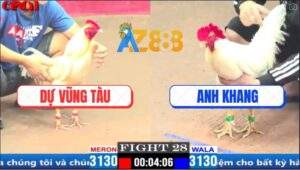 Trận 28 CPC1 3/4/2025 - Gà Anh Dự Vô Trong Đá Gà Duyên Ti Ngã Ngửa