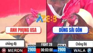 Trận 28 CPC3 13/4/2025 - Anh Phụng USA Thả Con Tép Bắt Con Cá Rô