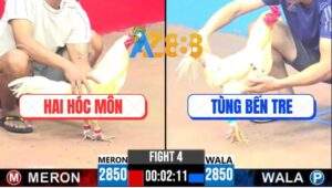 Trận 4 CPC3 9/4/2025 - Gà Bướm Anh Tùng Nhảy Mấy Chân Gà Úa Lật Xe