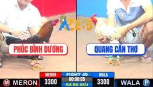 Trận 54 CPC3 22/4/2025 - Chung Kết Giữa Chú Phúc Và Tập Thể 246