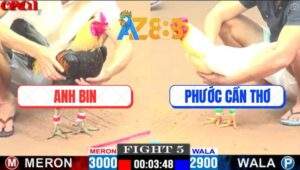 Trận 5 CPC1 12/4/2025 - Gà Chuối Chân Xanh Anh Bin Canh Chặn Quá Khéo