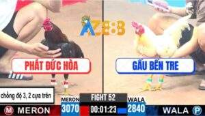 Trận 52 CPC3 9/4/2025 - Gà Que Lên 3 Bị Gà Anh Gấu Gạt Giò Mất Xổ 500