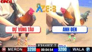 Trận 7 CPC1 12/4/2025 - Gà Điều Anh Dự Hạ Mẻ Xanh Hiệu Tính Ga King