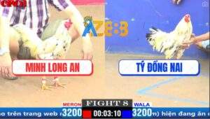 Trận 8 CPC1 5/4/2025 - Bướm Má Minh Quá Lì Đá Bướm Anh Tý Tốc Chạy