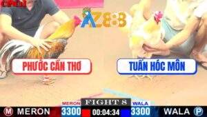 Trận 8 CPC1 12/4/2025 - Anh Phước Cần Thơ Và Anh Tuấn Hóc Môn