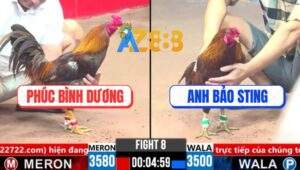 Trận 8 CPC3 1/4/2025 - Anh Bảo Sting Tiếp Tục Bị Chú Phúc Hạ, Xổ 500