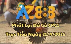 Phát Lại Đá Gà CPC1 Trực Tiếp Ngày 21/04/2025