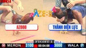 Trận 1 CPC1 1/5/2025 - Xóm Gà AZ Mở Bát Đầu Tháng Thuận Buồm Xuôi Gió