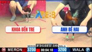 Trận 10 CPC1 29/5/2025 - Gà Anh Khoa Bến Tre Đâm Cựa Như Sam Sít