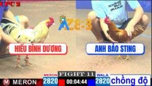 Trận 11 CPC2 4/5/2025 - Khét Cọp Anh Bảo Sting Chồng Độ Hạ Bướm Mau Lẹ