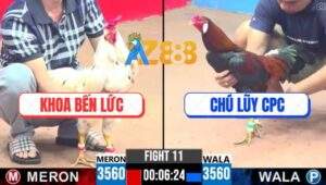 Trận 11 CPC3 25/5/2025 - Bổn Xanh Hiệu Tính Ga King Đâm Bướm Ói Bay Bồ