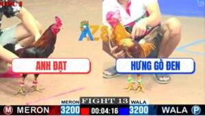 Trận 13 CPC1 22/5/2025 - Gà Khét Anh Hưng Đâm Điều Anh Đạt Như Cái Rổ