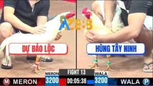 Trận 13 CPC3 7/5/2025 - Bướm Anh Hùng Tây Ninh Đá Úa Anh Dự Gãy Chân