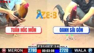 Trận 14 CPC1 22/5/2025 - Gà Anh Oanh Sài Gòn Đá Gà Anh Tuấn Té Cắm Đầu