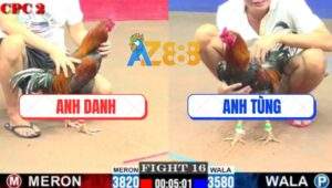 Trận 16 CPC2 28/5/2025 - Điều Anh Danh Đâm Điều Anh Tùng Lệch Giò