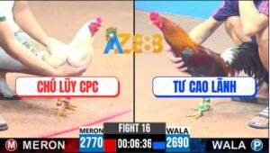 Trận 16 CPC3 25/5/2025 - Úa Thái Mỹ Anh Tính Ga King Đá Cựa Như Sơ Mít