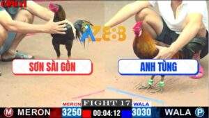 Trận 18 CPC1 19/5/2025 - Gà Điều Anh Tùng Nhỏ Mà Vẫn Lấy Mạng Đối Thủ