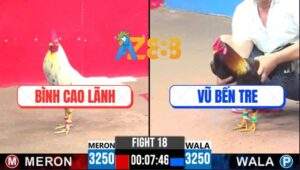 Trận 18 CPC3 30/5/2025 - Gà Bướm Anh Bình Có Chân Mai Độ Phản Ăn 1