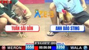 Trận 20 CPC2 4/5/2025 - Ga Xám Bảo Sting Phản Kèo Ăn 1 Nhờ Thuốc Xịn