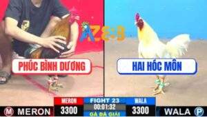 Trận 23 CPC3 31/5/2025 - Chú Phúc Bình Dương và Anh Hai Hóc Môn