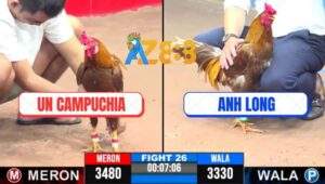 Trận 26 CPC3 7/5/2025 - Khét Cọp Anh Long Canh Chặn 1 Chân Lấy Lúa