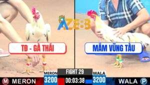 Trận 29 CPC3 25/5/2025 - Tập Đoàn Gà Thái Đụng Anh Mắm Vũng Tàu