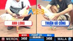 Trận 29 CPC3 7/5/2025 - Anh Tèo Thả Giùm 1 Đá Úa Cọp Anh Long Nằm Đống