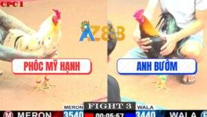 Trận 3 CPC1 24/5/2025 - Gà Bướm Anh Phóc Mỹ Hạnh Chay Như Máy Sới