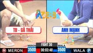 Trận 30 CPC3 25/5/2025 - Tập Đoàn Gà Thái Đụng Độ Anh Mạnh