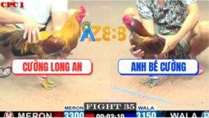 Trận 35 CPC1 20/5/2025 - Vàng Anh Tùng Không Cần Đá Nhiều 1 Đòn Là Đủ