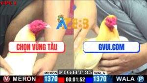 Trận 35 CPC1 26/5/2025 - Anh Chọn Vũng Tàu Và GVUI.COM