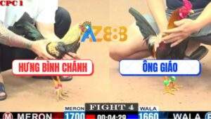 Trận 4 CPC1 26/5/2025 - Điều Cọp Ông Giáo Đá Chuối Lấy Tiền Bỏ Túi