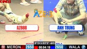 Trận 40 CPC1 19/5/2025 - Bướm Cọp Xóm Gà AZ Đâm Gà Chuối Xì Cơm Phút 90