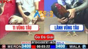 Trận 45 CPC2 4/5/2025 - Anh Lành Là Nạn Nhân Thứ 2 Bảo Sting Gạt Giò