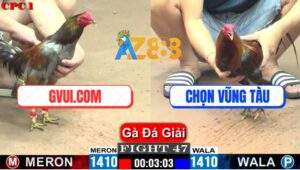 Trận 47 CPC1 26/5/2025 - GVUI.COM Và Anh Chọn Vũng Tàu