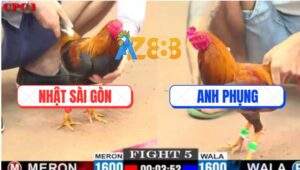 Trận 5 CPC1 26/5/2025 - Gà Khét Anh Phụng Đâm Cựa Như Máy Chém