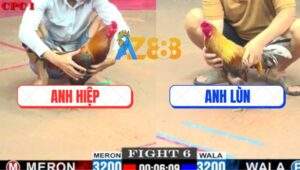 Trận 6 CPC1 27/5/2025 - Gà Úa Anh Lùn Có Chân May Độ Quá Đẹp