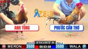 Trận 10 CPC1 26/5/2025 - Điều Anh Lộc Hạ Đối Thủ Chỉ Sau 2 Điệu Nhạc