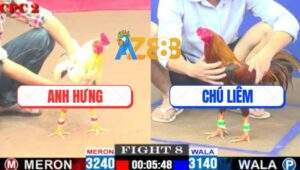 Trận 8 CPC2 14/5/2025 - Gà Khét Chú Liêm Đá Đúng 1 Chân Bướm Giãy Chết