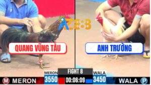 Trận 8 CPC3 31/5/2025 - Bông Anh Quang Vũng Tàu Đá Chân Nào Cũng Đâm