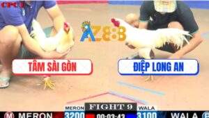 Trận 9 CPC1 27/5/2025 - Úa Cọp Anh Tâm Sài Gòn Đâm Cựa Như Sam Sít