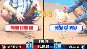 Trận 9 CPC3 25/5/2025 - Điều Chân Xanh Má Minh Đá Bo Như Xe Đụng