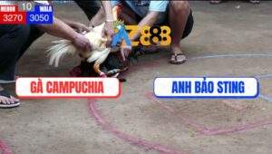 Trận 10 Anh Bảo Sting Và Campuchia Tại Bồ Dinh Bà Ngày 21/6/2025