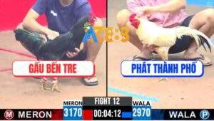 Trận 12 CPC3 9/6/2025 - Bướm Anh Phát Có Chân Cứu Chủ Cái Xổ 2 Xị