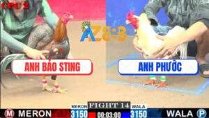 Trận 14 CPC2 1/6/2025 - Anh Bảo Sting Và Anh Phước Bất Phân Thắng Bại