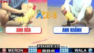 Trận 17 CPC1 2/6/2025 - Anh Rùa Bắt Gà Lỗi Trọng Tài Xử Thua Trực Tiếp