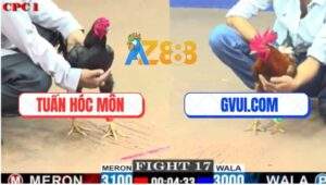 Trận 17 CPC1 5/6/2025 - Gà Vàng GVUI.COM Có Chân Mai Độ Quá Hay